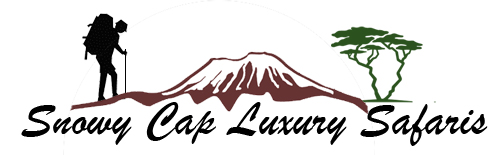 Snowy Cap Luxury Safari | Climbing Kilimanjaro